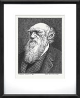 Study for Charles Darwin